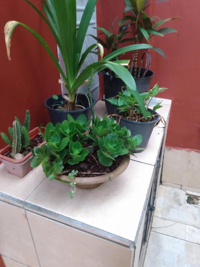 Hospedaria Namaste Peruíbe Εξωτερικό φωτογραφία